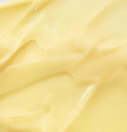 Sérum revitalizante con ginseng y retinal [30ml]